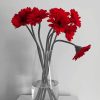 Red Gerbera Daisies Glass Vase Diamond Paintings