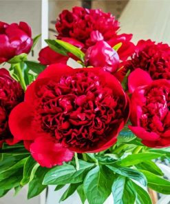 Red Peony Diamond Paintings