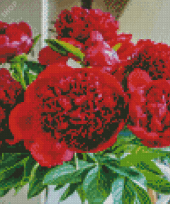 Red Peony Diamond Paintings