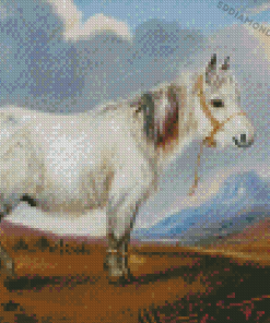 Shetland Pony Diamond Painting