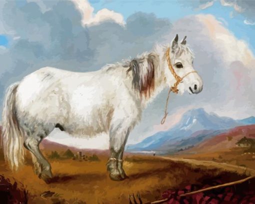 Shetland Pony Diamond Painting