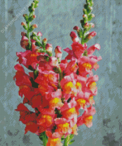 Snapdragons Flowers Plant Diamond Paintings