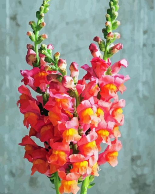 Snapdragons Flowers Plant Diamond Paintings