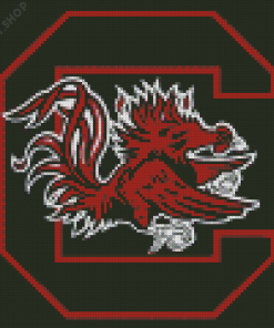 South Carolina Gamecocks Football Diamond Paintings