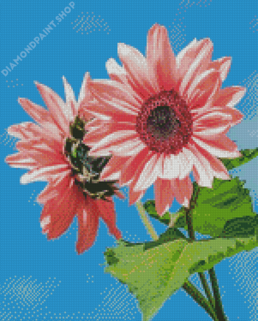 Two Pink Sunflowers Diamond Painting