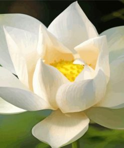 White Lotus Blossom Diamond Paintings