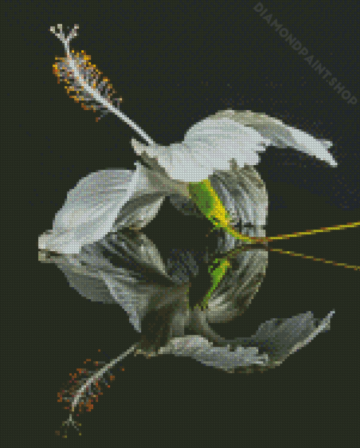 White Hibiscus Flower Reflection Diamond Painting