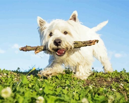 White Highland Terrier Dog Pet Diamond Paintings