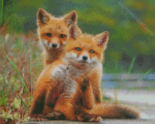 Wild Baby Foxes Diamond Painting