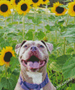 Adoranble Dog With Sunflowers Diamond Paintings
