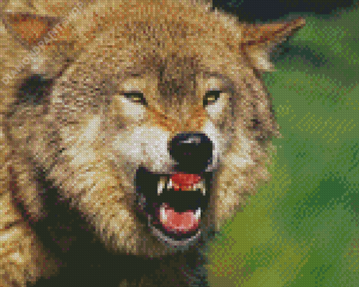 Aesthetic Angry Wolf Illustration Diamond Paintings