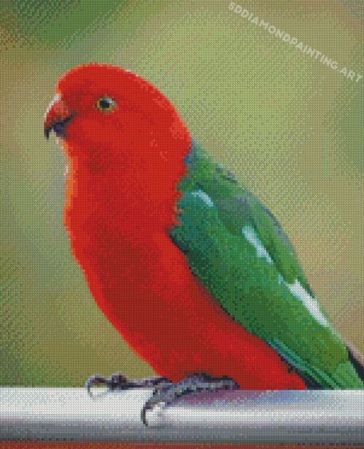 Aesthetic Australian King Parrot Diamond Paintings