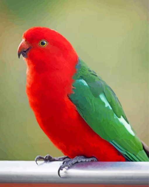 Aesthetic Australian King Parrot Diamond Paintings