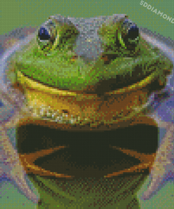 Aesthetic Bull Frog Diamond Painting