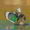 Aesthetic Cotton Pygmy Goose Diamond Paintings