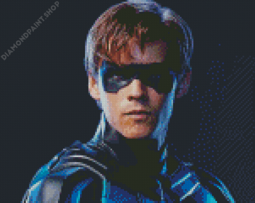 Aesthetic Nightwing Diamond Painting