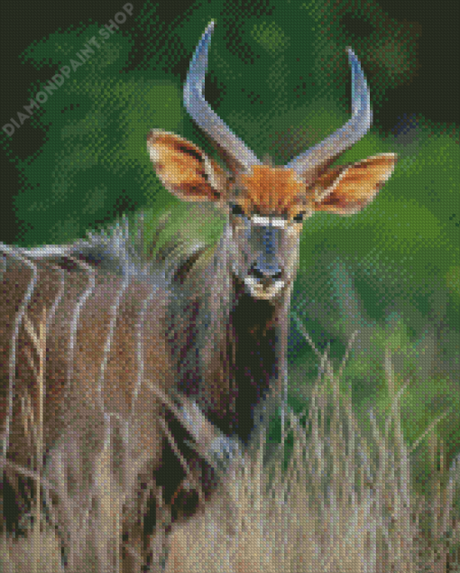 Aesthetic Nyala Animal Diamond Painting