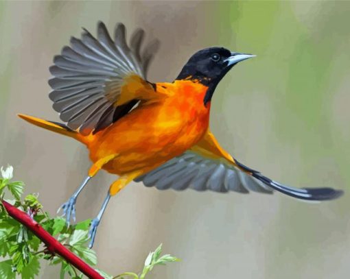 Aesthetic Orioles Bird Art Diamond Painting