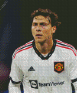 Aesthetic Victor Lindelof Diamond Painting