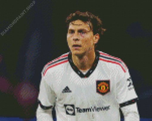 Aesthetic Victor Lindelof Diamond Painting