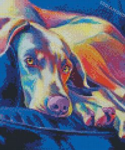 Aesthetic Weimaraner Dog Diamond Paintings