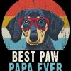 Best Paw Papa Ever Dog Quote Diamond Paintings