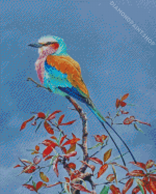 Breasted Roller Bird Art Diamond Painting