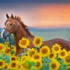 Brown Horse With Sunflowers Diamond Painting