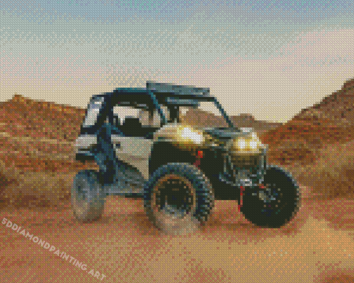 Can Am In Desert Diamond Paintings