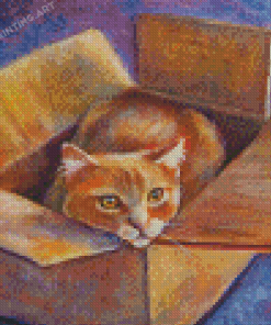 Cat In The Box Diamond Paintings