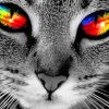 Cat With Rainbow Eyes Diamond Painting