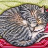 Cozy Kitty Diamond Paintings
