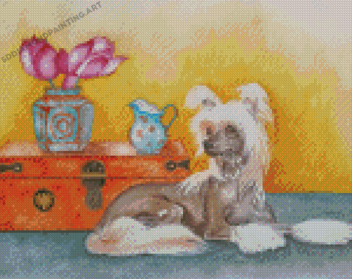 Cute Chinese Crested Dog Diamond Painting