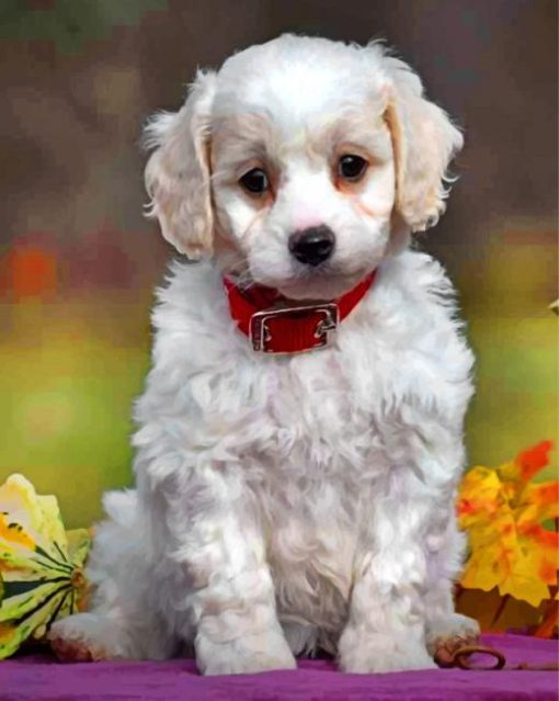 Cute Cavachon Diamond Paintings