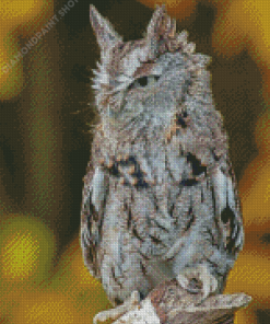 Eastern Screech Owl Diamond Paintings