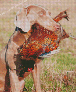 Hunting Dog With Pheasant Its Mouth Diamond Paintings