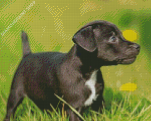 Little Patterdale Terrier Diamond Paintings