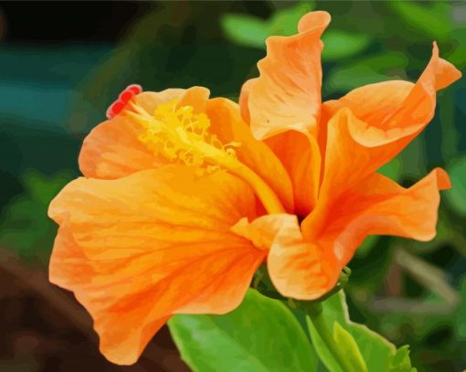 Orange Hibiscus Diamond Paintings