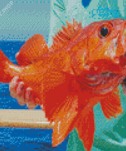 Red Rockfish Diamond Painting