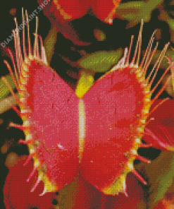 Red Venus Flytrap Diamond Paintings