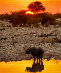 Rhino Sunset Reflection In Water Diamond Paintings