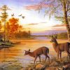 Two Deer By The River Diamond Paintings