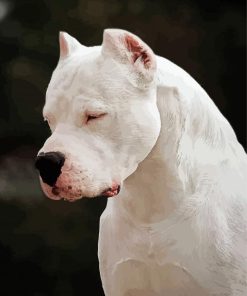 White Dogo Dog Diamond Painting