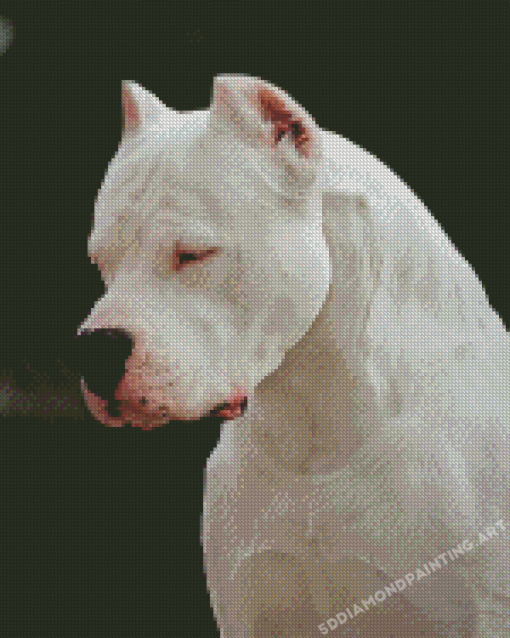 White Dogo Dog Diamond Painting