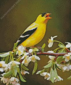 Yellow Finch On Tree Diamond Painting