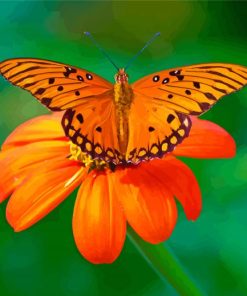 Aesthetic Orange Flowers And Butterfly Diamond Painting