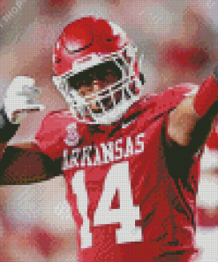 Arkansas Razorbacks Player Diamond Painting