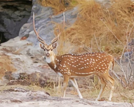 Axis Deer Chital Diamond Painting