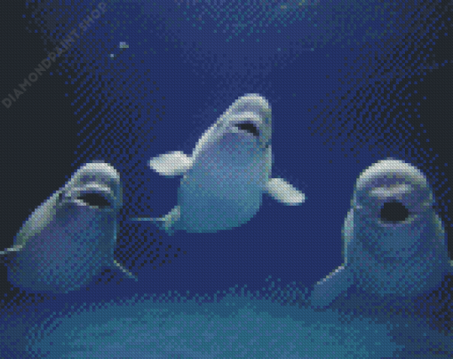 Beluga Whales Animals Diamond Painting