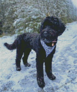 Black Goldendoodle In Snow Diamond Painting